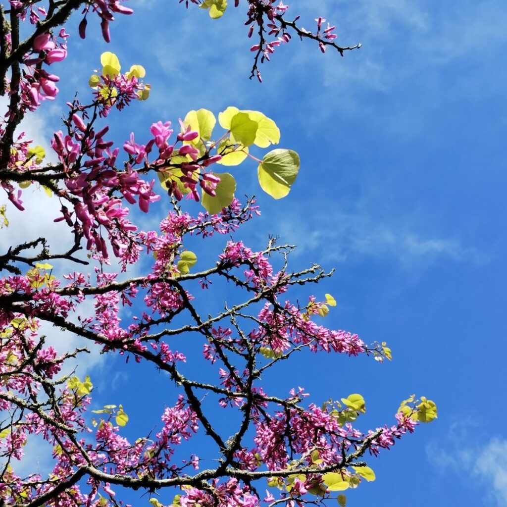 Appelé au bonheur et à la sainteté, il ne tient qu'à toi de répondre.