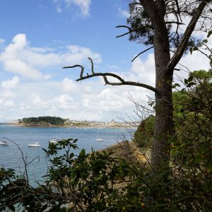 maison-saint-francois-dinard